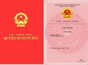 Phân biệt sự khác nhau giữa sổ đỏ và sổ hồng theo quy định?